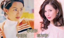 爆料娱乐圈的事小说,揭秘幕后真相