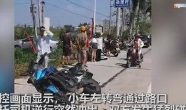 吴川一中爆料事件始末视频,真相与争议的交织