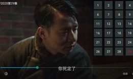 大勇爆料视频大全最新版,揭秘热点事件，洞察社会真相