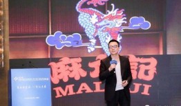 汪小菲崩溃爆料视频,揭秘背后真相与情感纠葛
