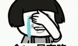 免费吃瓜回家群,揭秘网络社交新潮流