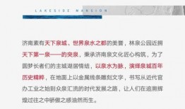 泉城爆料最新消息今天,今日热点事件速览