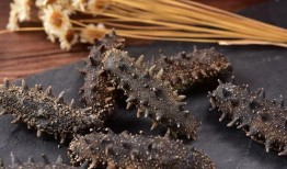 即食海参爆料视频教程大全,视频教程大全解析