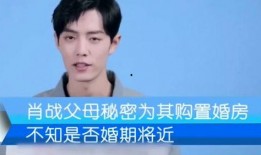 大学爆料肖战视频完整版,揭秘事件背后真相