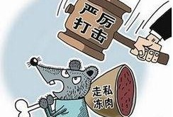 中国养殖行业爆料新闻,最新爆料事件深度剖析