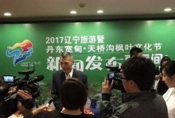 辽宁宽甸爆料新闻视频,揭秘事件真相