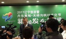 辽宁宽甸爆料新闻视频,揭秘事件真相