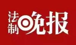 鹿泉最新爆料新闻头条号,揭秘重大事件背后的惊人真相！