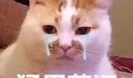 娱乐吃瓜酱抖音新表情,网友纷纷模仿，趣味横生！