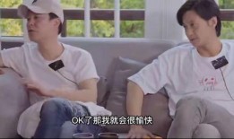 娱乐圈史及爆料,揭秘幕后真相与爆料传奇