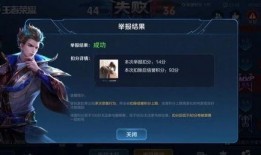 王者大陆爆料视频大全,揭秘游戏幕后精彩瞬间