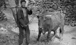 牲口吃面爆料怎么做视频,揭秘视频制作背后的秘密