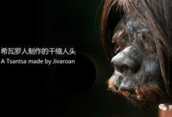 欧洲人性视频在线观看,私密视频在线观看揭秘