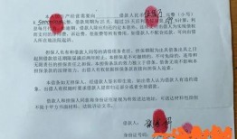 成都欠钱爆料事件最新情况,最新进展揭示惊人内幕