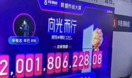 辛巴爆料加钱的视频,揭秘加钱背后的真相与内幕