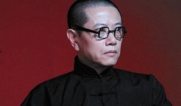 陈丹青爆料娱乐圈,真实与虚假的较量