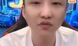 辛巴爆料加钱的视频,揭秘加钱背后的真相与内幕