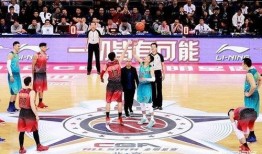 李宁篮球爆料视频完整版,独家内幕与精彩瞬间