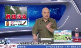 宁夏吴某爆料新闻最新报道,揭秘某事件背后惊人真相