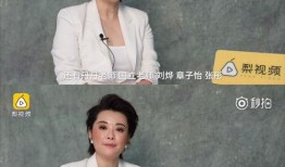 袁立采访爆料事件视频全集,揭秘娱乐圈内幕与个人心路历程