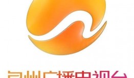 泉州电视台新闻爆料,揭秘某企业环保违规行为