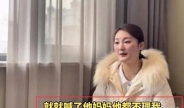 九红前妻爆料视频,婚姻背后的惊人真相