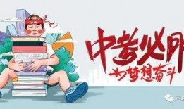 亳州爆料视频最新消息曝光,视频曝光惊人内幕，真相令人震惊！